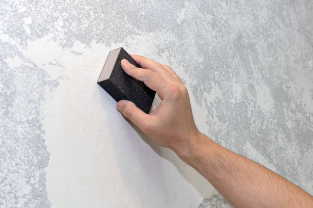 Best Attic Mold Removal  in Creola, AL