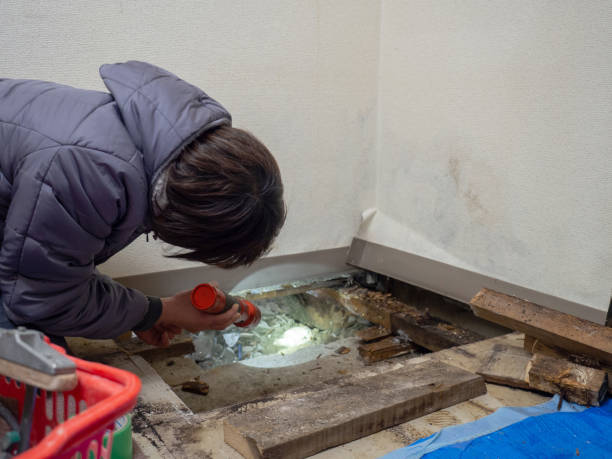 Mold Remediation for Rental Properties in Creola, AL