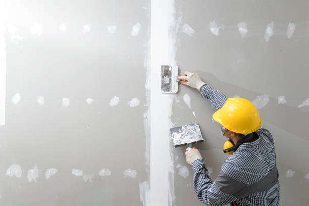 Best Water Damage & Mold Remediation  in Creola, AL